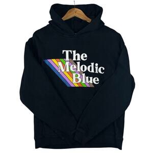 Baby Keem The Melodic Blue Tour Merch Hoodie Large Baggy Y2K Heavyweight Rare